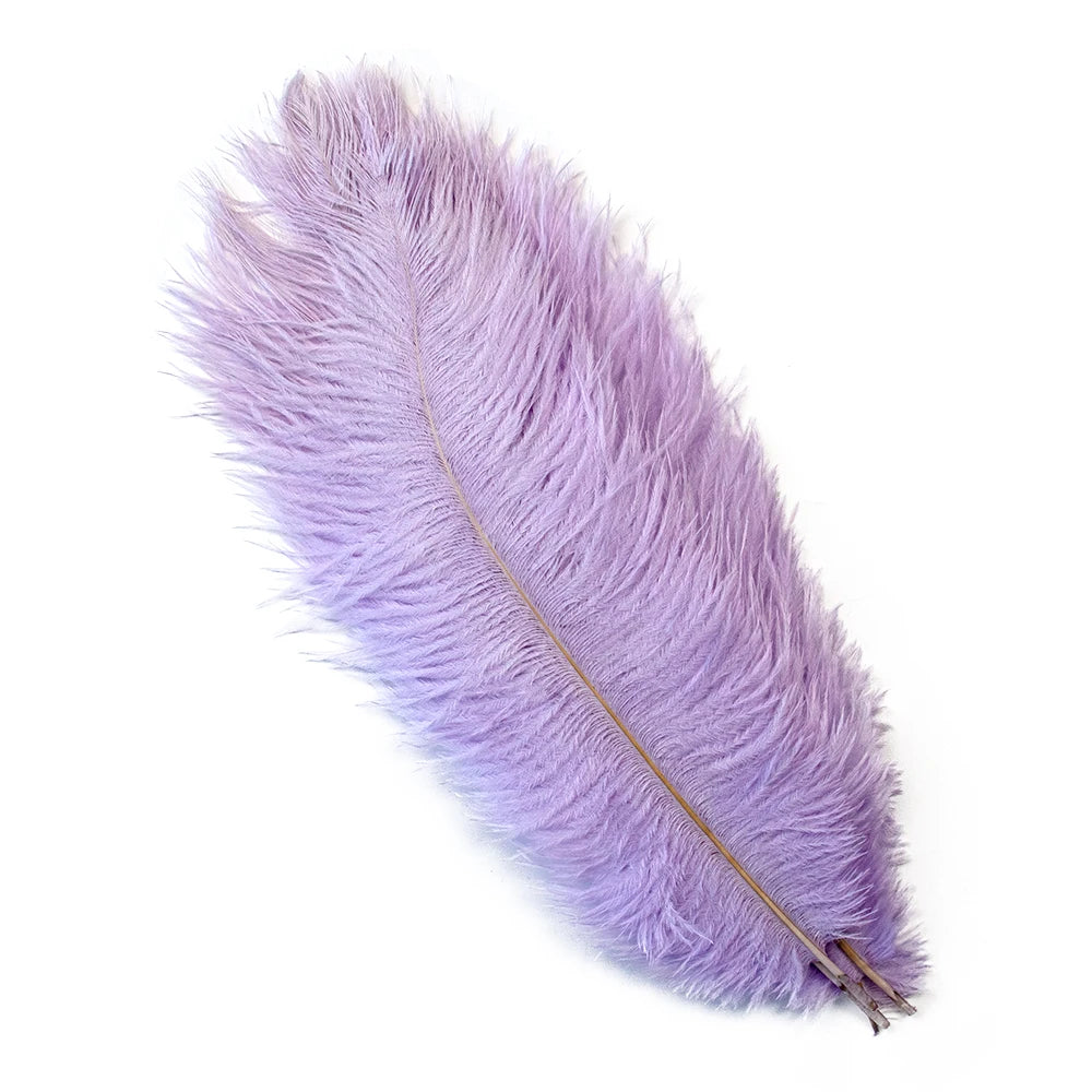 10 PCS Set 10 Colors Natural Ostrich Feathers Wedding Home Decor 30-35cm/40-45cm Ostrich Plumes Table Centerpiece Crafts