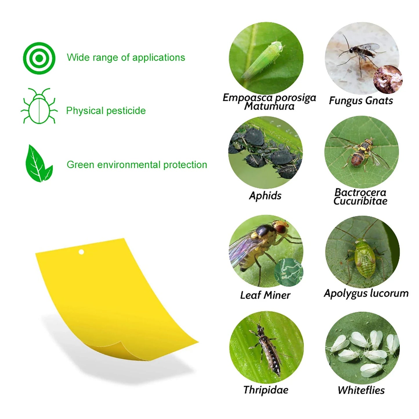 20-200PCS Yellow Fly Traps Bugs Sticky Board Dual-Sided Catching Aphid Insect Pest Control Whitefly Thrip Leafminer Glue Sticker
