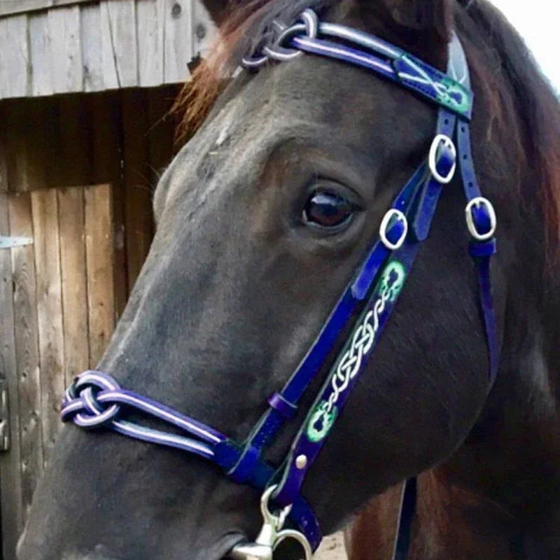 Horse Halters and Lead Ropes PU Leather Halter and Lead Ropes Ergonomic Comfortable Unfettered Halters with Metal Buckle