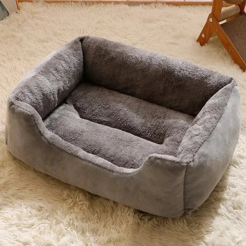 Bed for Cats Pet Products Cushions Kitten Goods Accessories Dog All Houses Supplies Things Accessory Habitats Basket House Beds