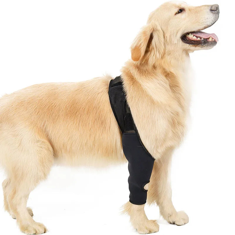 Pet Knee Pads For Joint Injury Recovery Legs Protector Dog Thigh Brace Wrap Adjustable Support Belt Post-operative Fixation