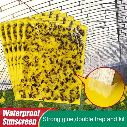 NEW Arrivals 50-100pcs Strong Fruit Fly Traps Bugs Yellow Sticky Board Pest Control Insect killer Two-Sided Glue Paper Trap for Kill Pests