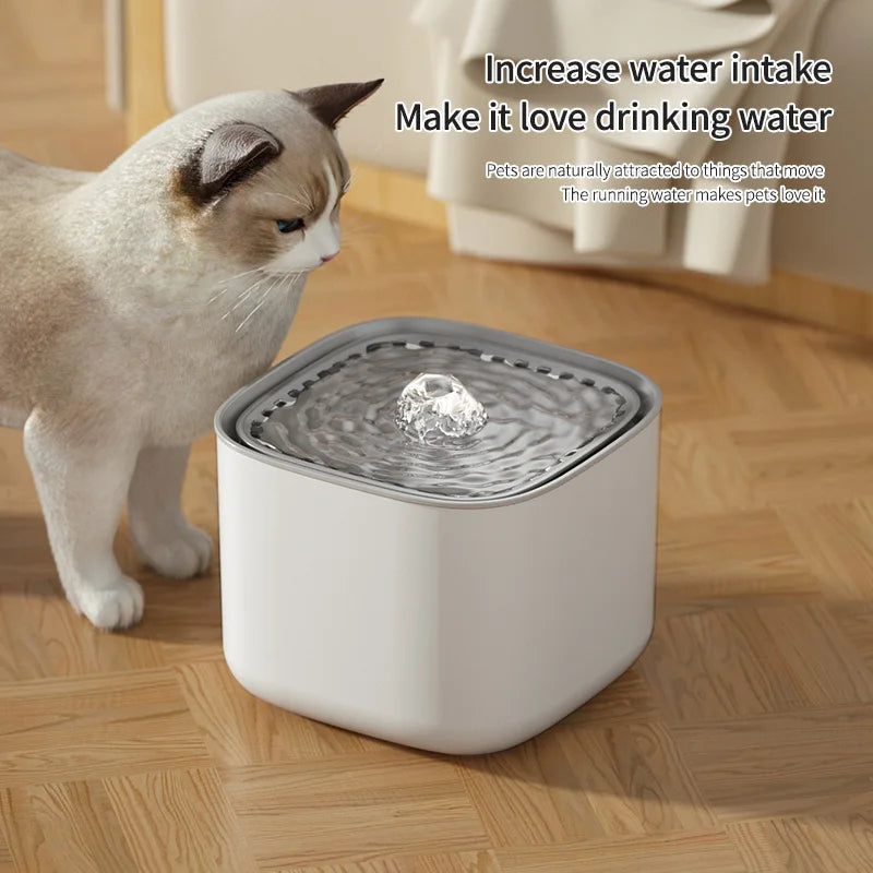 Cat Water Fountain Auto Recirculate Filter Large Capacity 2L Filtring Cat Water Drinker USB Electric Mute Cats Water Dispenser