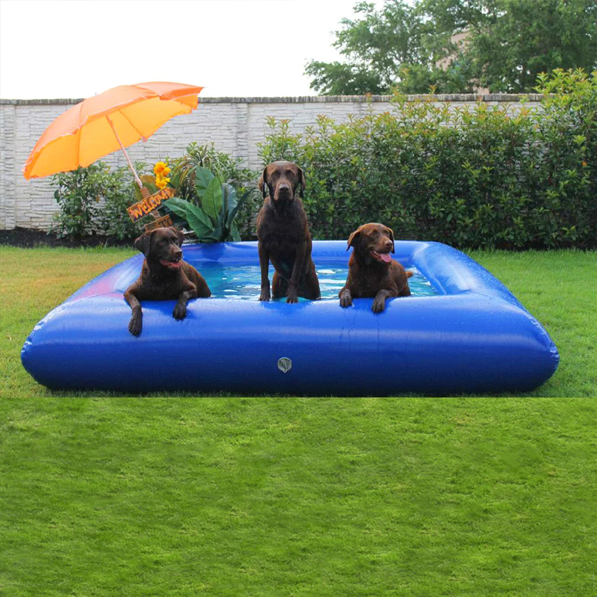2x2/3x3/4x4M 4 Colors for Home Villa Large Pet Airtight Inflatable Swimming Pool, Outdoor Yard Dog Bathing Large Blow Up Tank Inflatable Bath Tub For Dogs with Air Pump Set Pets Summer Water Games