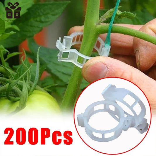 100/150Pcs Plastic Plant Support Clips Reusable Plant Vine Protection Grafting Fixing Tool for Vegetable Tomato Garden Supplies