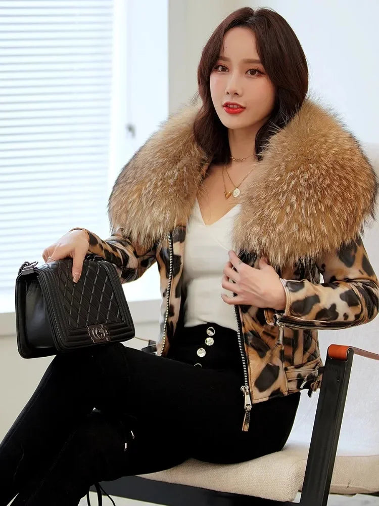 NEW Arrivals S-3XL  Real Raccoon Fur Collar Luxury Winter Women Genuine Leather Short Brand Women Sheepskin Leopard Motorcycle Jacket Big Fur Collar Slim