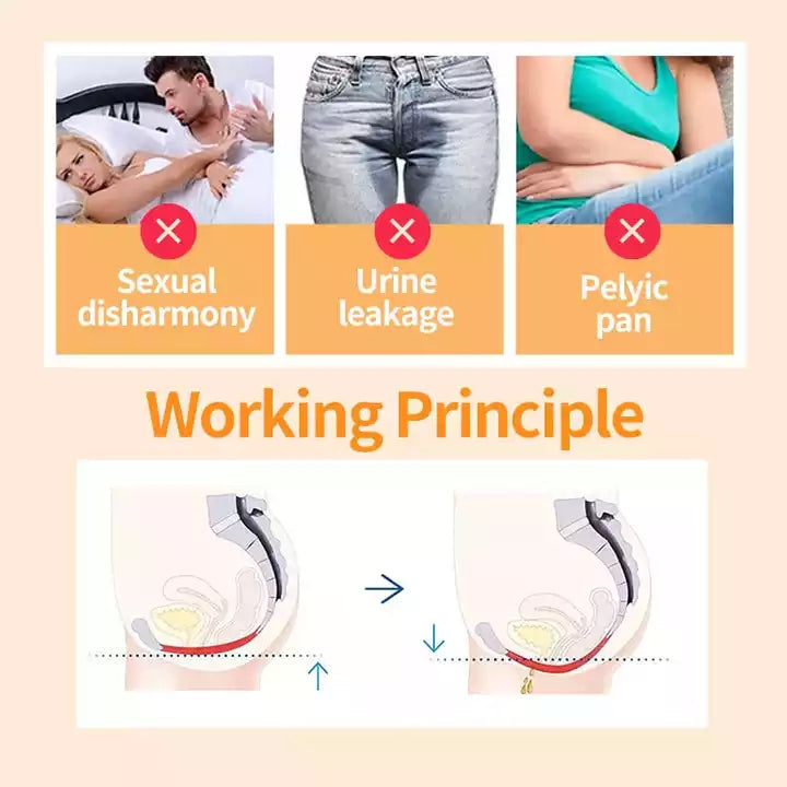 Postpartum EMS Slim Pelvic Floor Muscle Muscle Training Prostate treatment Massage Chair Machine Urinary Incontinence Butt Lift