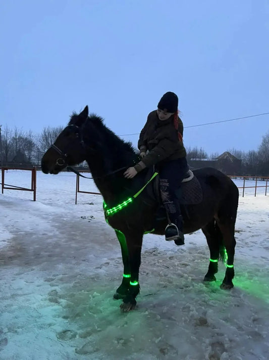 LED Light Horse Harness Night Visible Horse Riding Equipment Outdoor Horse Breastplate Dual Racing Equitation Equestrian Belt