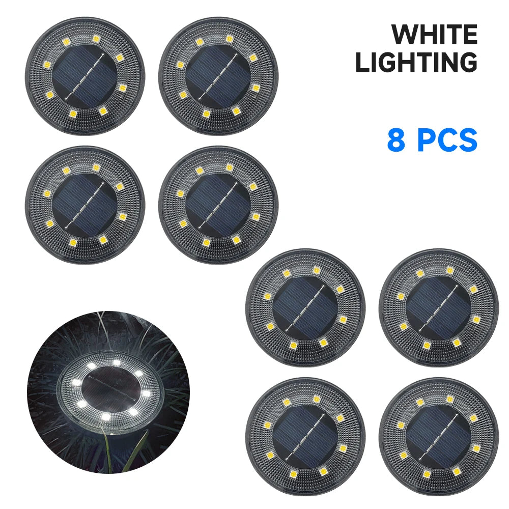 49028406509881