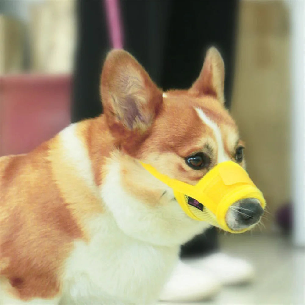 S-XL Anti Barking Dog Muzzle for Dogs Adjustable Mesh Breathable Pet Mouth Cover Muzzle for Small Medium Dog Anti-Biting Pet Supplies