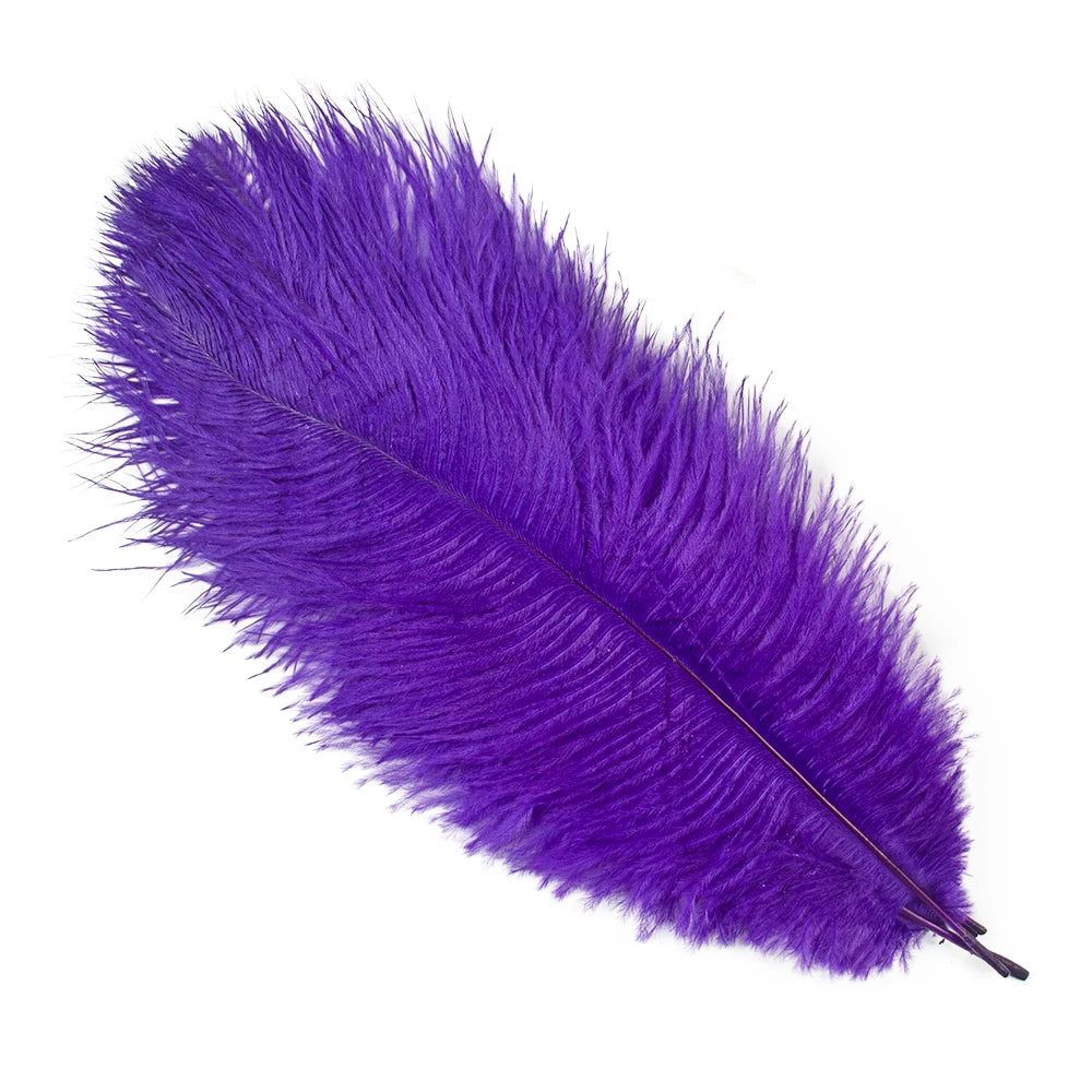 10 PCS Set 10 Colors Natural Ostrich Feathers Wedding Home Decor 30-35cm/40-45cm Ostrich Plumes Table Centerpiece Crafts