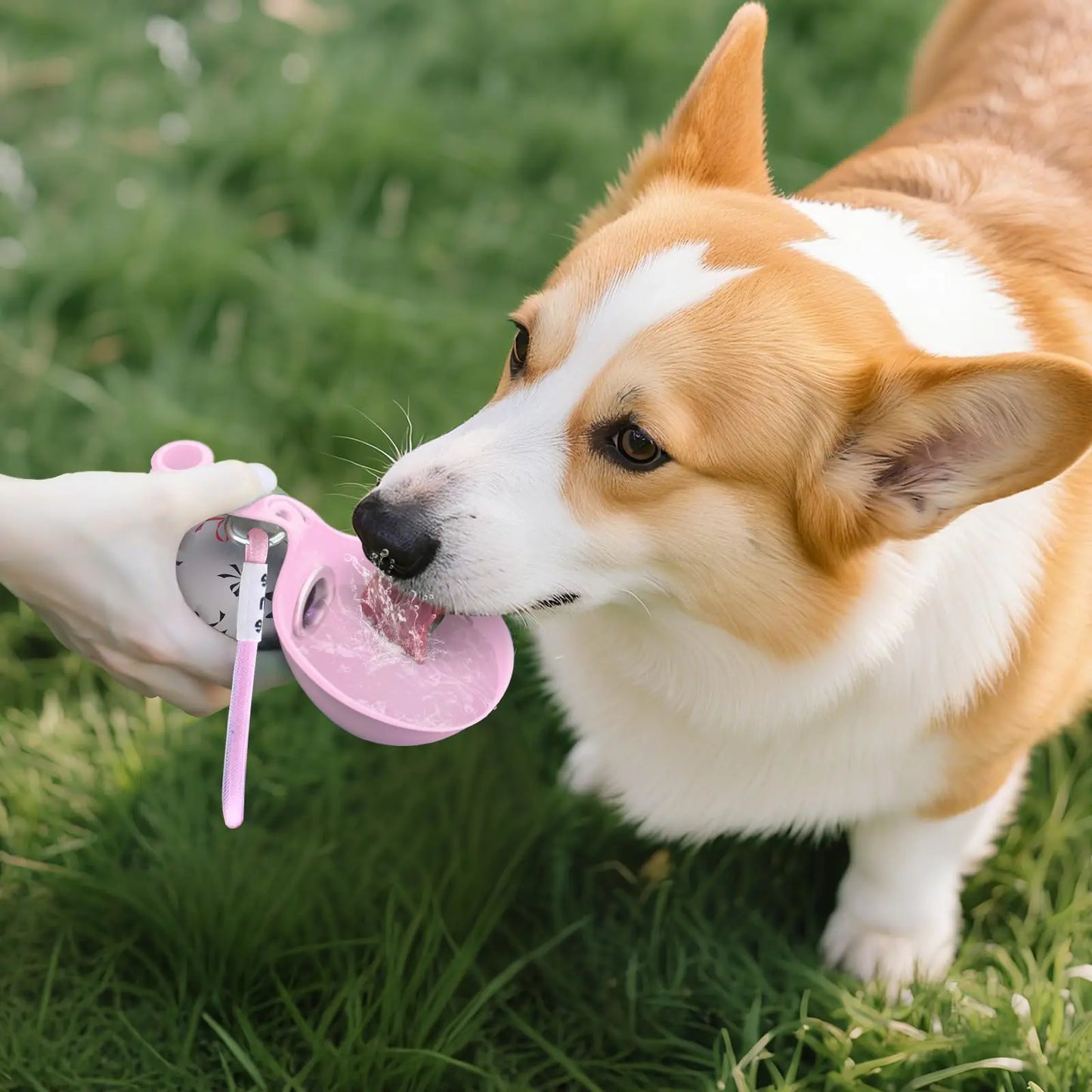 2-in-1 Portable Foldable Outdoor Walking Hiking Dog Water Bottle for Small/Large Dogs - Leak-Proof & Compact Dog Travel Water Bottle -Stainless Steel/Silicone Bottle