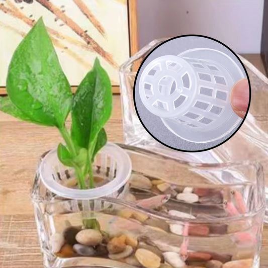 NEW Arrivals 50PCS Set Hydroponic Planting Basket Soilless Cultivation Net Pots Plant Vegetable Growing Nursery Cup Sponge Fixator Container Home Garden Supplies