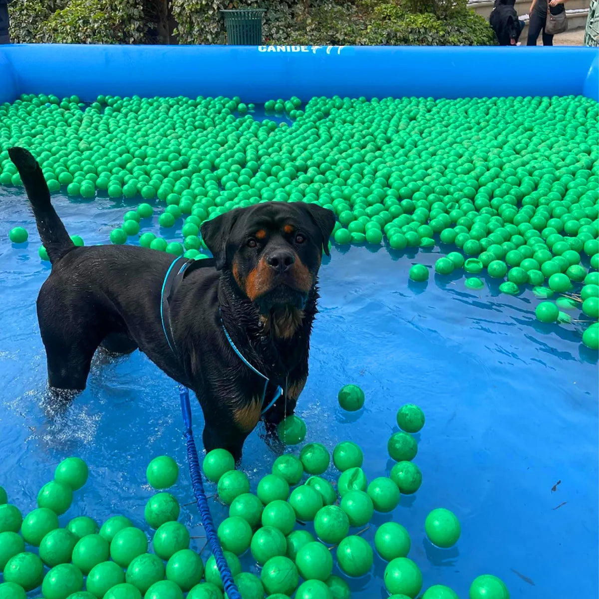 2x2/3x3/4x4M 4 Colors for Home Villa Large Pet Airtight Inflatable Swimming Pool, Outdoor Yard Dog Bathing Large Blow Up Tank Inflatable Bath Tub For Dogs with Air Pump Set Pets Summer Water Games