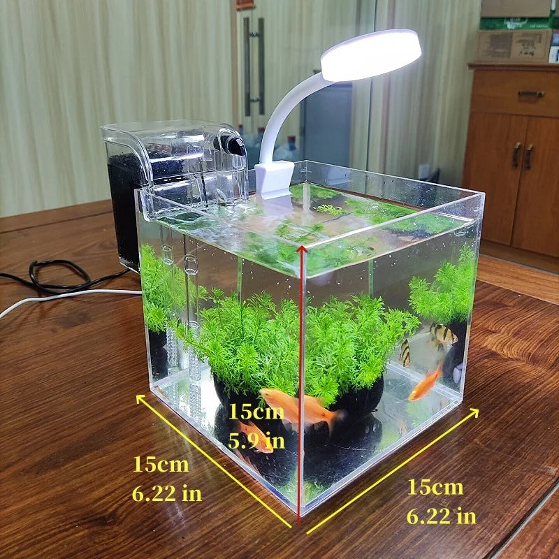 Mini Desktop Transparent Acrylic Aquarium Aquatic Grass, Shrimp, Turtle, Goldfish Fish Tank with Filter System and Lamp
