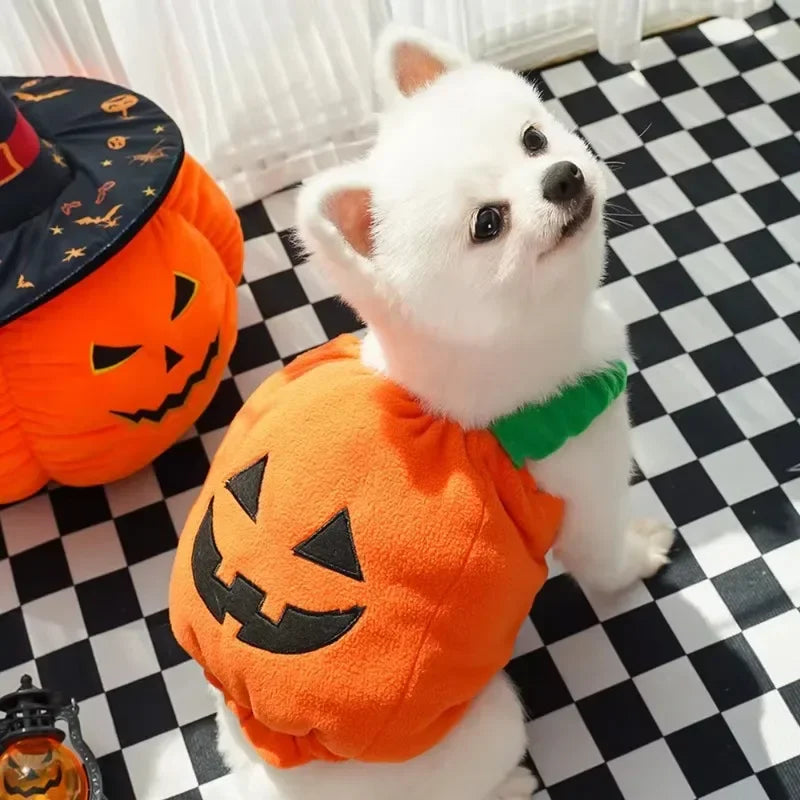 Halloween Dog Costumes Funny Pumpkin Lantern Transformation Outfit Halloween Dog Cat Two Legged Pet Cute Pumpkin Hat Dog Jacket