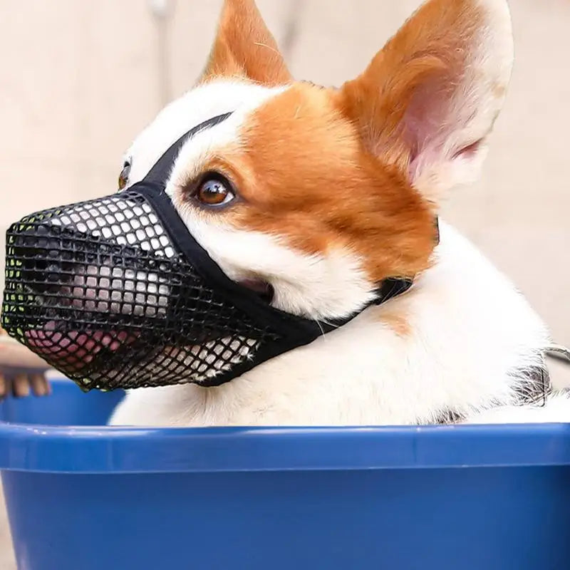 XS-XL Breathable Nylon Dog Muzzle Small Medium Large Dog Muzzles Anti Bark Puppy Mouth Mask Cover Pet Accessories Muzzle