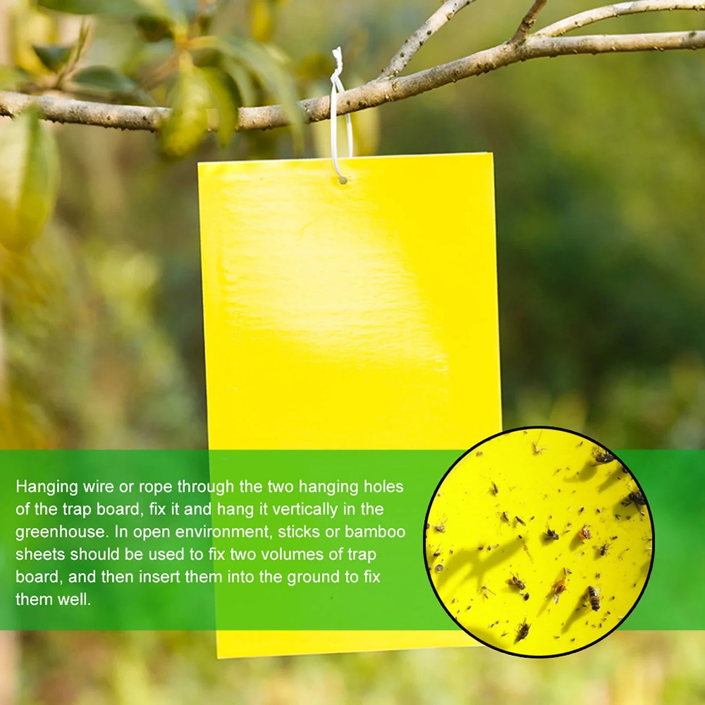 20-200PCS Yellow Fly Traps Bugs Sticky Board Dual-Sided Catching Aphid Insect Pest Control Whitefly Thrip Leafminer Glue Sticker