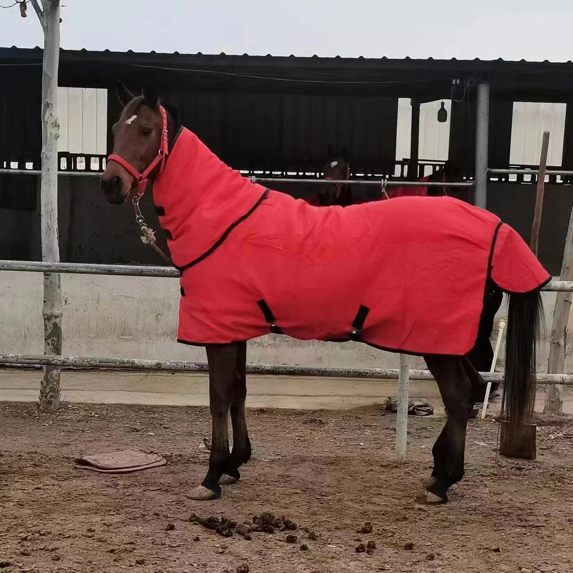 NEW Arrivals Winter Thickened Cotton Horsecloth Plus-Sized Horse Sweat and Blood Pony Horse Rug Snow Raincoat Full Body Blanket Pets Animals Supplies