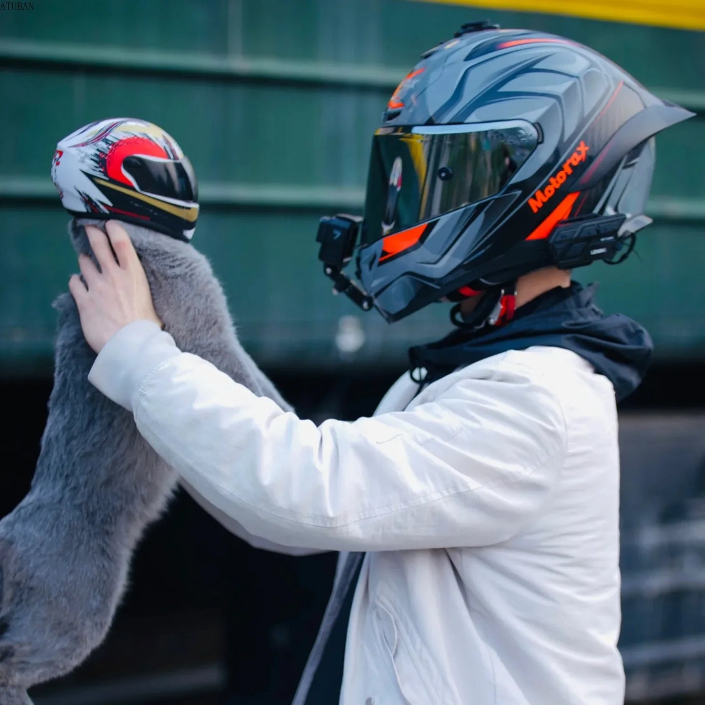 Pet Motorcycle Helmet,Full Face Motorcycle Helmet Outdoor Motorcycle Bike Riding Helmet Hat for Cat Puppy Helmet Pet Supplies