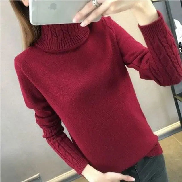 S-XL 4 Colors Women Sweater Turtleneck Pullovers Autumn Winter Sweaters New Arrival Long Sleeves Thick Warm Female Sweater