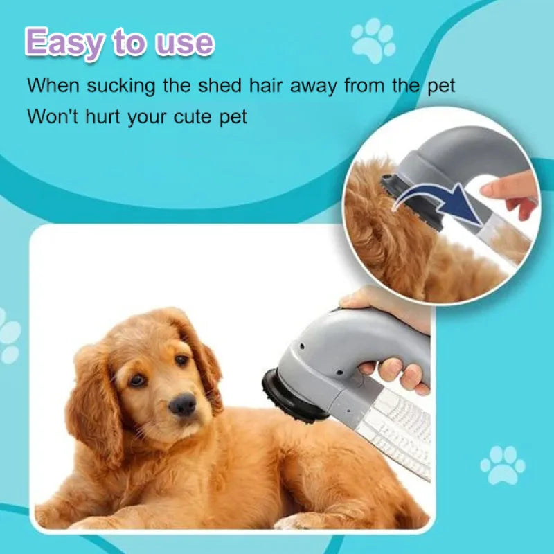 Portable Electric Cat and Dog Hair Vacuum Massage Clean Dual Purpose Portable Pet Vacuum Cleaner