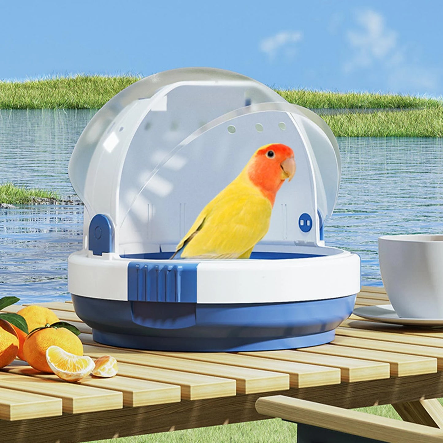 Small Pets Bird Travel Cage Parrots Go Out Good Ventilation Carrier with Locking Latch Parakeet Cage Accessory Birds Bag