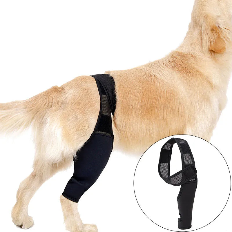 Pet Knee Pads For Joint Injury Recovery Legs Protector Dog Thigh Brace Wrap Adjustable Support Belt Post-operative Fixation