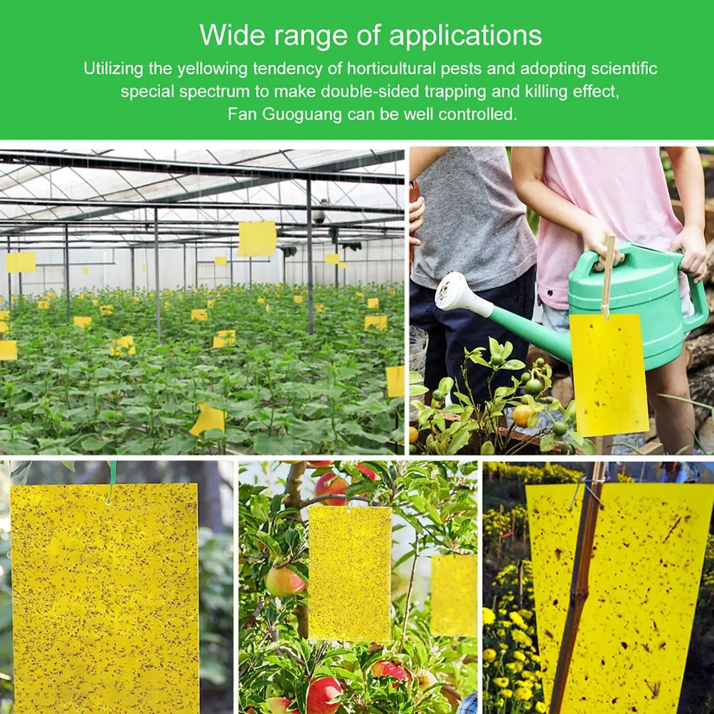 20-200PCS Yellow Fly Traps Bugs Sticky Board Dual-Sided Catching Aphid Insect Pest Control Whitefly Thrip Leafminer Glue Sticker