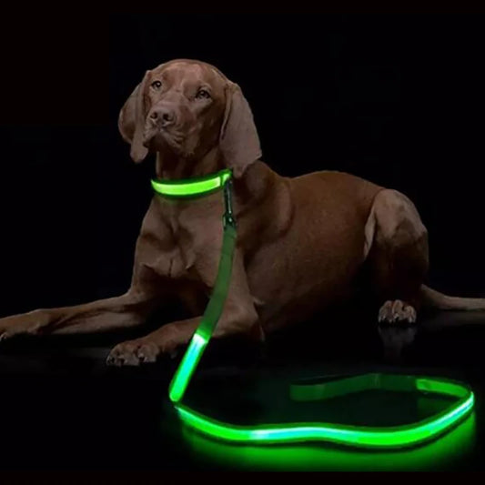 NEW LED Light Up Night Walking Dog Leash Luminous Rope Lead Leash For Dog Safety Flashing Glowing Dog Collar Harness Electronic Pet Accessories Pets Supplies