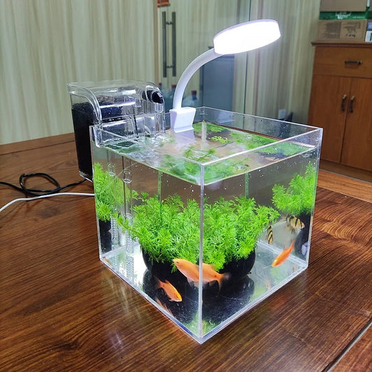 Mini Desktop Transparent Acrylic Aquarium Aquatic Grass, Shrimp, Turtle, Goldfish Fish Tank with Filter System and Lamp