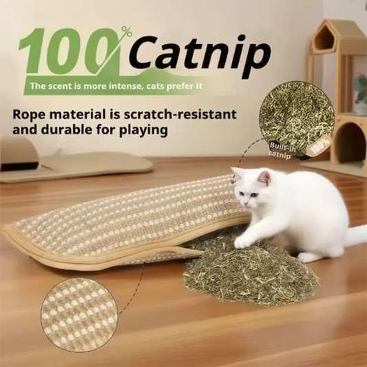 Cat Scratcher Interactive Toys for Cat Catnip Pillow Kitten Claw Grinder Scratching Post for Cats Chew Bite Toys Catnip Toy Pets Supplies