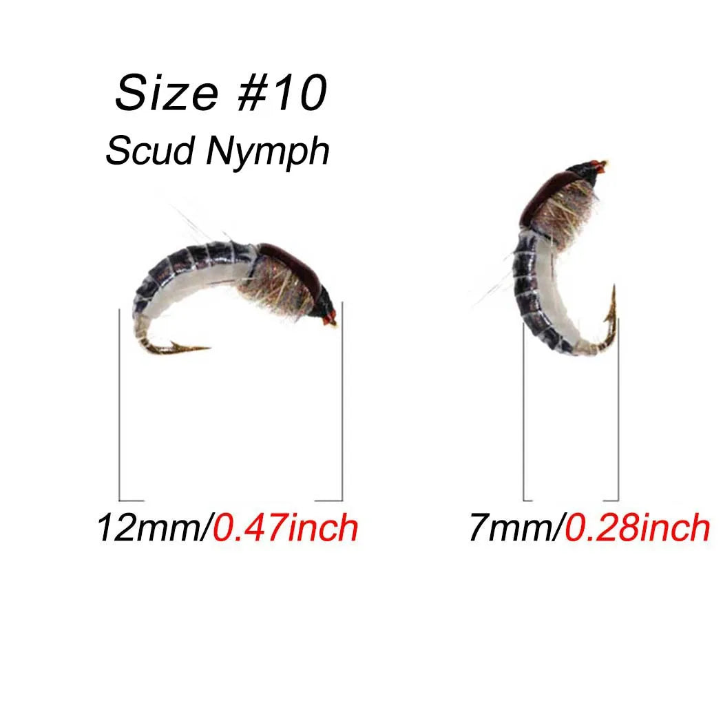 24 PCS Set/Box Nymph Scud Fly Fishing Flies Fly Insects Different Styles Salmon Trout Fly Fishing Lures River Sea Lakes Fishing Accessories
