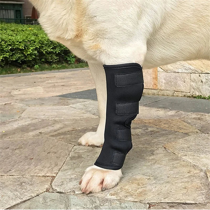 Pet Dog Bandages Dog Injurie Leg Knee Brace Strap Protection For Dogs Joint Bandage Wrap Doggy Medical Supplies Dogs Accessories