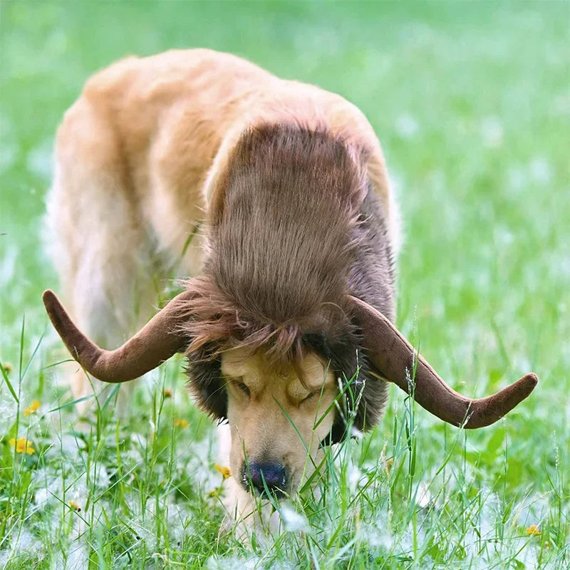 Dog Wig Cattle Horns Hat Cow Horn Corcherie  Funny Dog Lion Costume For Large Dogs Halloween Thanksgiving Christmas