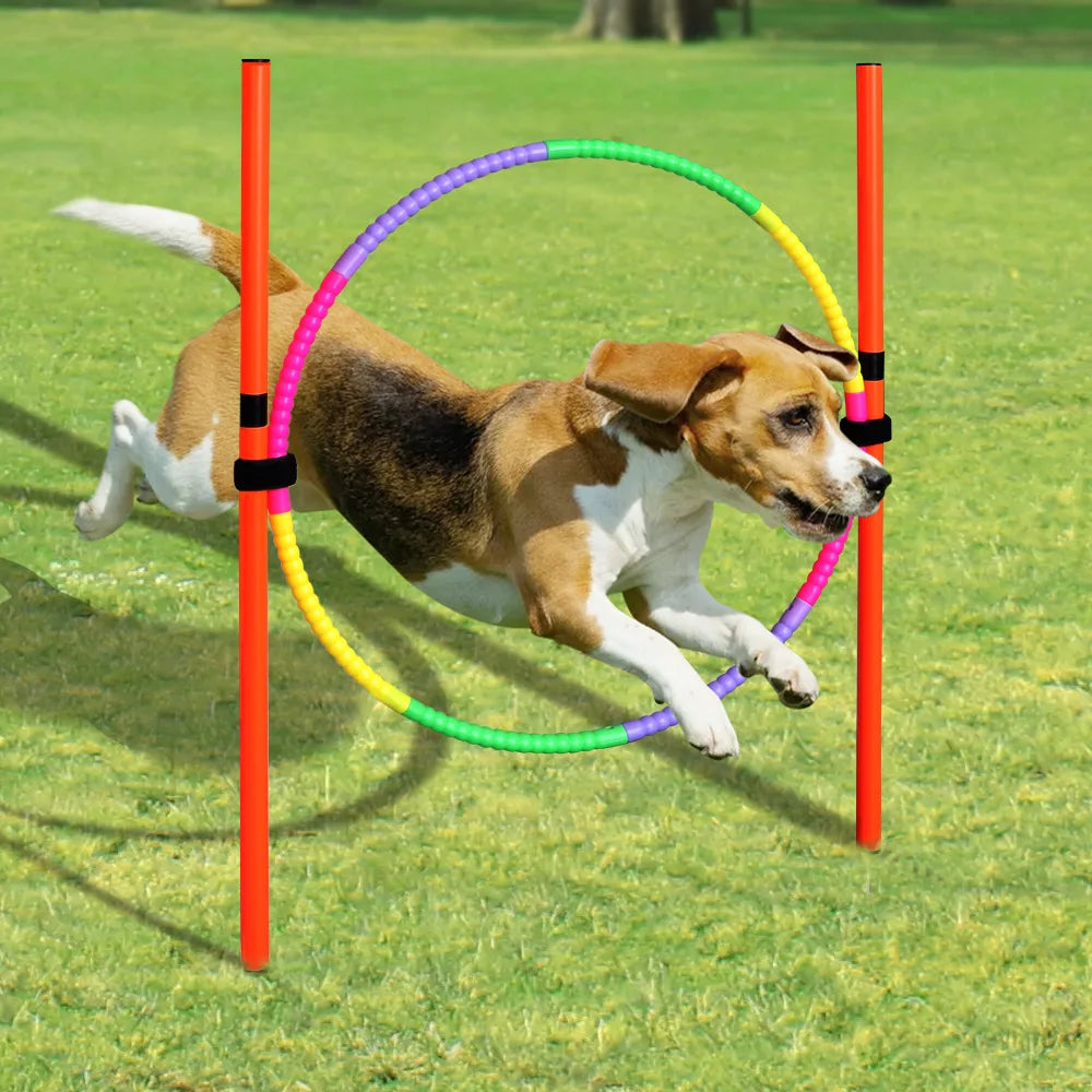 Outdoor Dog Obstacle Training Set Pet Agility Equipment Jumping Set  Dog Training Accessories Dog Obstacle Course Pet Supplies