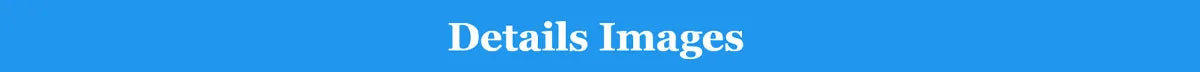 2x2/3x3/4x4M 4 Colors for Home Villa Large Pet Airtight Inflatable Swimming Pool, Outdoor Yard Dog Bathing Large Blow Up Tank Inflatable Bath Tub For Dogs with Air Pump Set Pets Summer Water Games