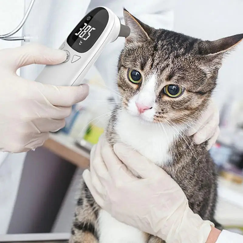 Animal Thermometers For Cats Vet Tech Supplies Accurate Fever Detection Device For Veterinary Thermometers Pet Supplies