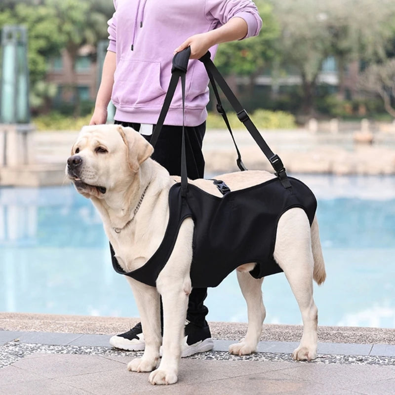 XL Adjustable Dog Lift Harness Pet Walking Leg Support Harness for Large Dogs Travel Disabled Dog Support Device