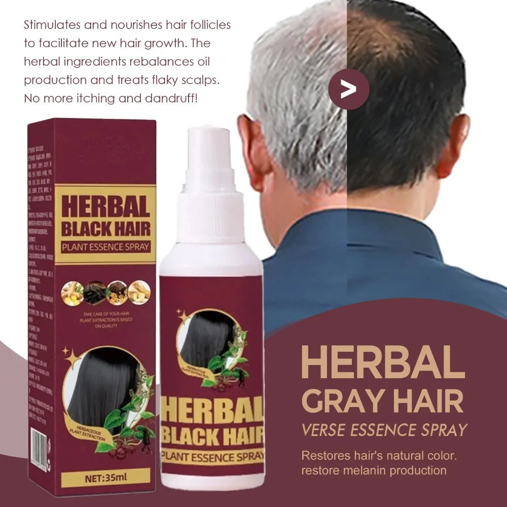 TikTok Hot-Selling Buy 10 Get 12 Free Herbal Black Hair Liquid for Frizz, Dryness, and Smoothness,  White Gray Hair Killer Remove  Restore Korean Hair Care Products