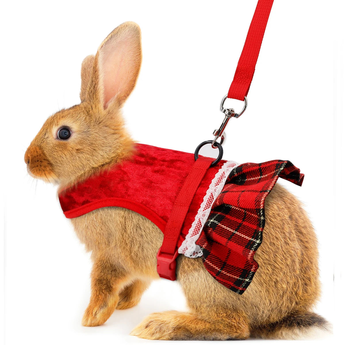 Rabbit Chest  Harness Fashion Festival Formal Dress Style Gold Velvet Skirt Rabbit Chest Back Set with Traction Rope  Pet Vest