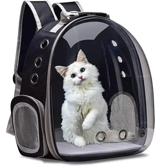 A Cat Carrying a Backpack, a Transparent Bubble Pet