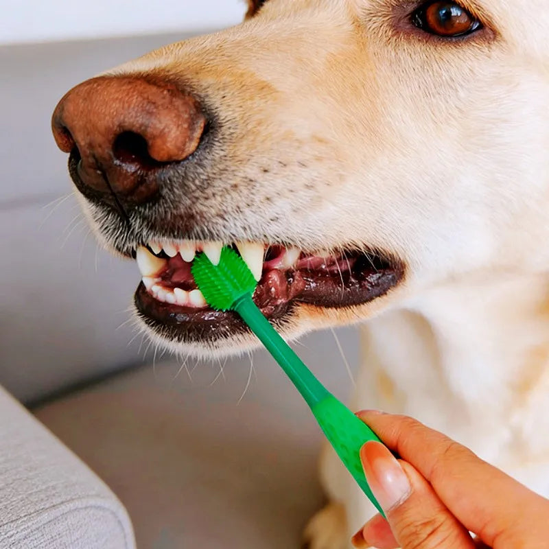 3 PCS Set Dog Toothbrush Set Pet Toothbrush  Double Head Rotating Toothbrushes for Dog Teeth Cleaning Oral Care Cat Toothbrushes Pet Supplies