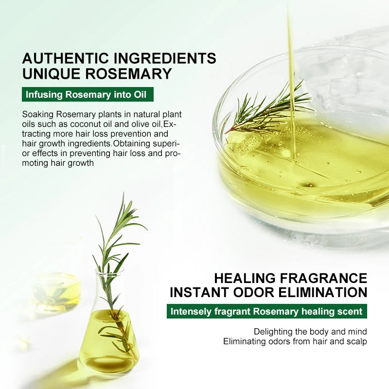 Rosemary Natural Ginger Oil Hair Growth Products for Man Women Ginger Anti Hair Loss Fast Regrowth Thicken Oils Scalp Treatment Hair Care