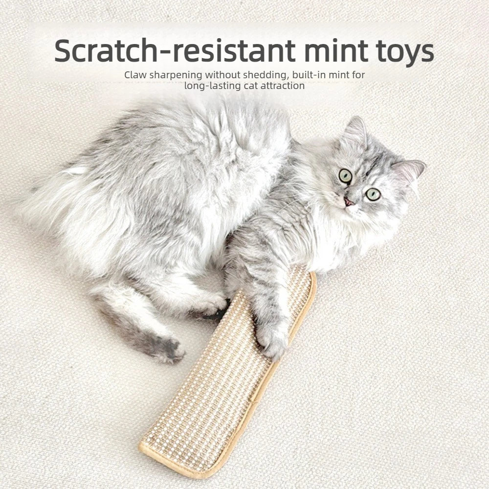 3/5 PCS Set Cat Scratching Pad with Soft Plush Pillow Durable Chew Bite Resistant Scratch Mat for Indoor Cats Rest Play and Claw Grinder Kitten Nap Pillow Pets Interactive Toys