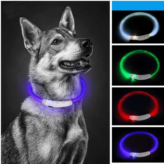 NEW Arrivals Led Dog Collar Luminous USB Cat Dog Collar Adjustable Fit for Small Medium Large Dogs Led Light Glowing Loss Prevention LED Collar For Dogs Pet Dog Accessories