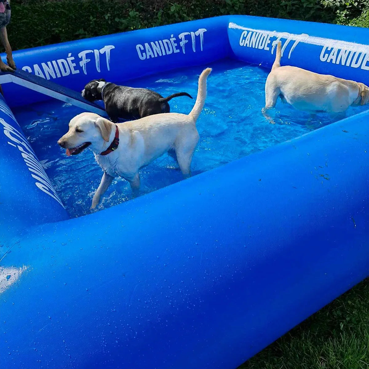 2x2/3x3/4x4M 4 Colors for Home Villa Large Pet Airtight Inflatable Swimming Pool, Outdoor Yard Dog Bathing Large Blow Up Tank Inflatable Bath Tub For Dogs with Air Pump Set Pets Summer Water Games