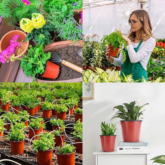 NEW Arrivals 20PCS Set 3 Size Plant Pot Garden Nursery Box Cup Seed Starting Flower Pots Lightweight Succulent Seedling Tray Transplant Flower Vegetable Container Box Plants Cultivation Germination Pots Home Garden Accessorie