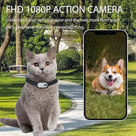 NEW Arrivals Pet Supplies Cat Dog Collar Camera 64G-128G Card Outdoor Exercise Camera Video Mini Body Camera Pets Safety Security Products