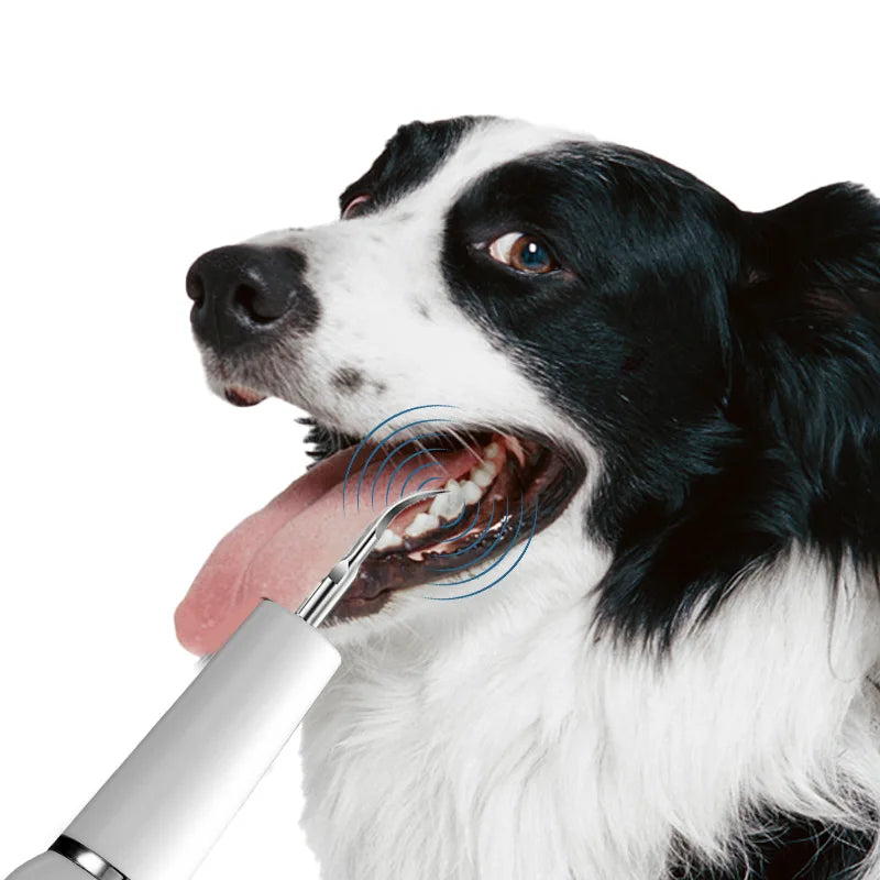 Ultrasonic Pet Teeth Scaler Dog Dental Calculus Remover Electric Dog Toothbrush Dog Cleaning Supplies Dog Accessories